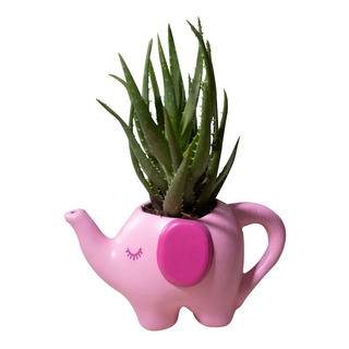 Maceta Elefantito Elefante Minimalista Cactus Suculentas Maceta Elefantito Elefante Minimalista Cactus Suculentas