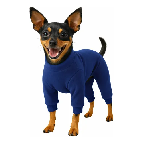 Do Striped Knitted Sweater, Turtleneck Pullover Pet Coat, Do