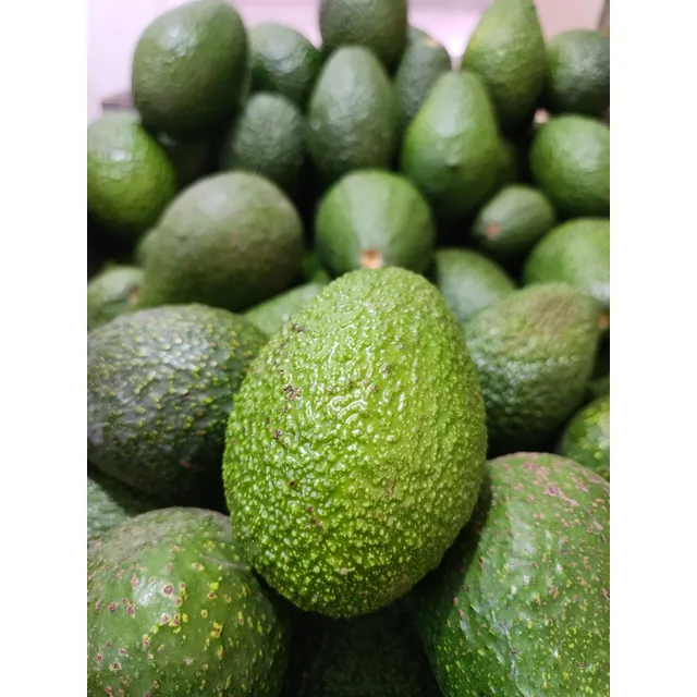 Palta Hass 1 Kilo