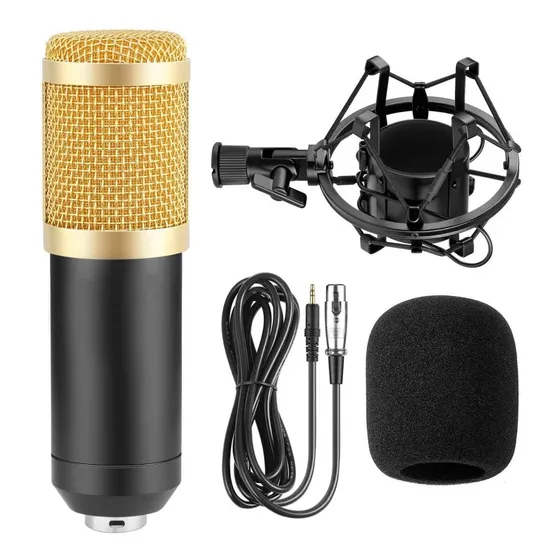 Microfone Condensador Profissional Canto Podcast Bm-800 Cor Dourado SuaWin