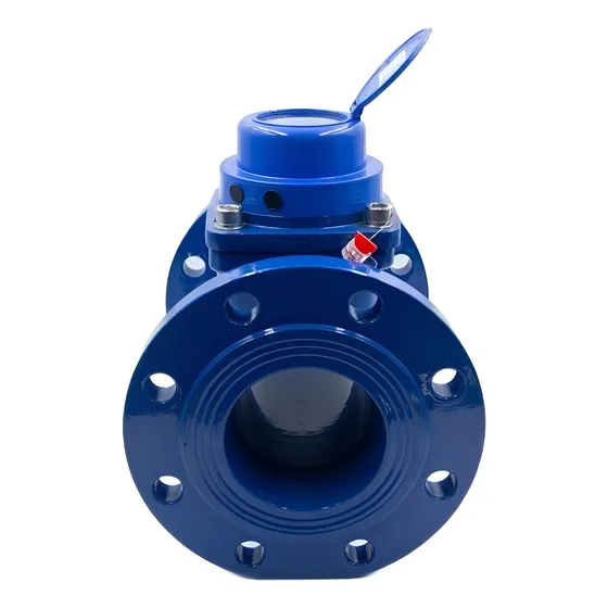 Medidor De Agua De 6 Bridado De Paleta Lxln Dorot