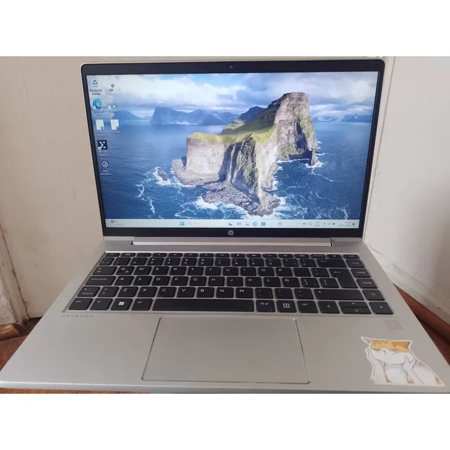 Hp Probook 445 14 Inch G10 Notebook Pc (usado)