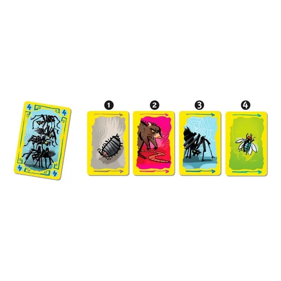 Domadores De Bichos Juego De Mesa Devir Cartas 88867