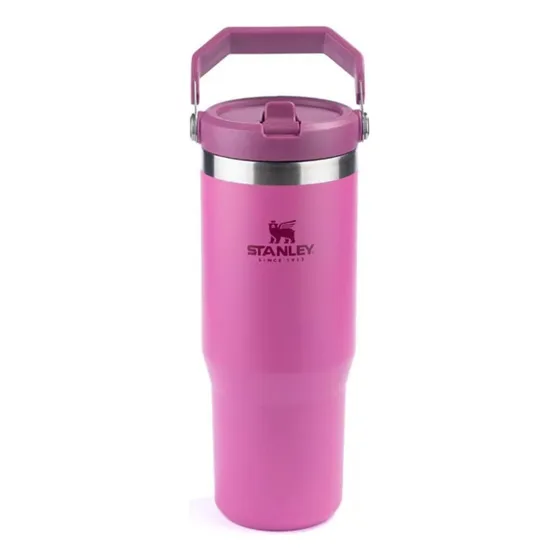 Termo Stanley Original The Iceflow Flip Straw Tumbler  30 Oz