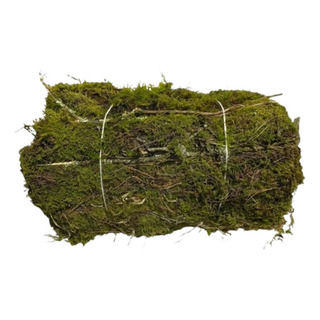 Musgo Natural Deshidratado En Paca De 5kg Musgo Natural Deshidratado En Paca De 5kg