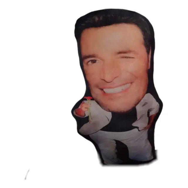 Peluche Chayanne Chiquito Personalizado 30cm 