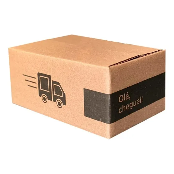 Caixa De Papelão Correios Personalizada 24x15x10 Kit 100 Cx