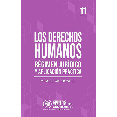 Los Derechos Humanos. Régimen Jurídico Y Aplicación Práctica Los Derechos Humanos. Régimen Jurídico Y Aplicación Práctica