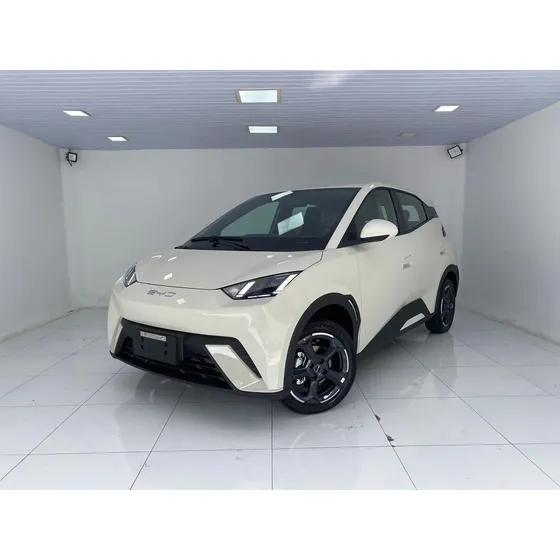Byd Dolphin Mini 38 Kw Elétrico