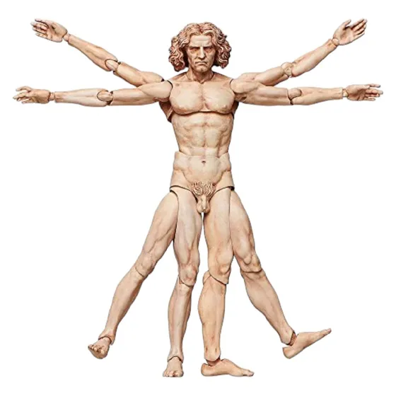 Vitruvian Man Museo Mesa Full Articulable Original Vitrubio