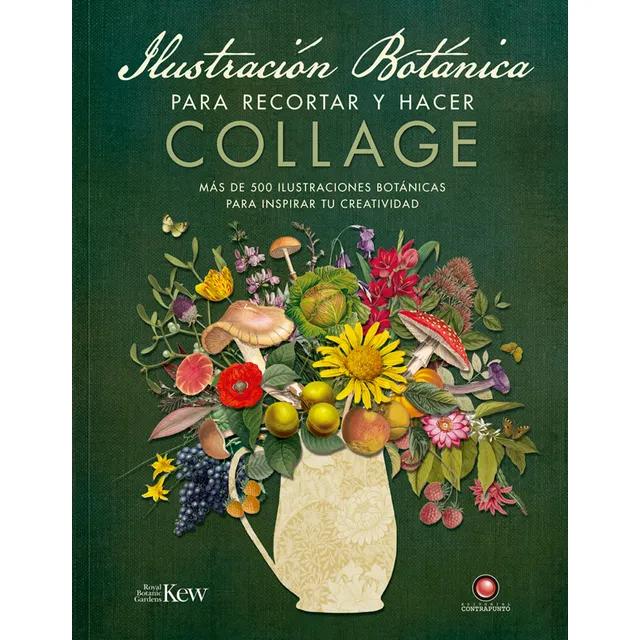 Libro Ilustración Botánica Para Recortar Y Hacer Collage Editorial Contrapunto Tapa Blanda Español