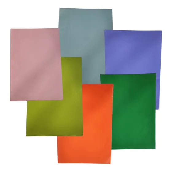 Papel Lustrillo (10 Pliegos) Colores A Elegir