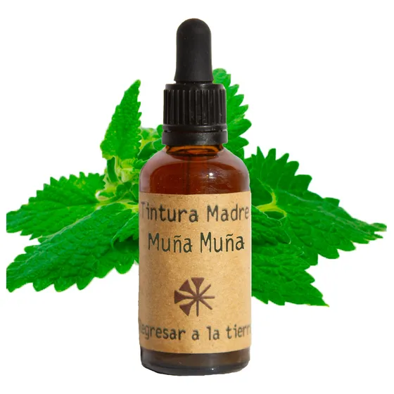 Tintura Madre De Muña Muña 50ml | Vitalidad Natural