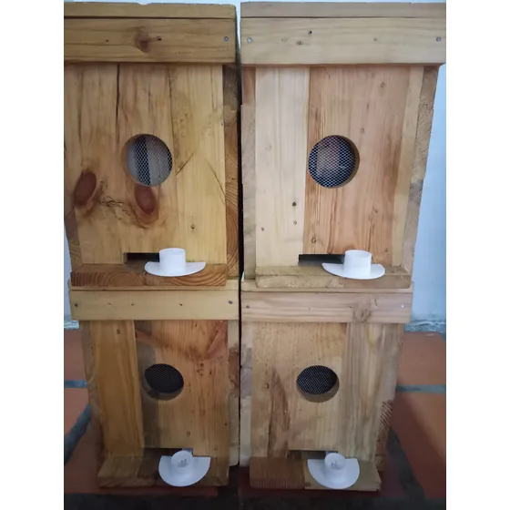 Colmena Porta Nucleo Apicultura Abejas Avispas