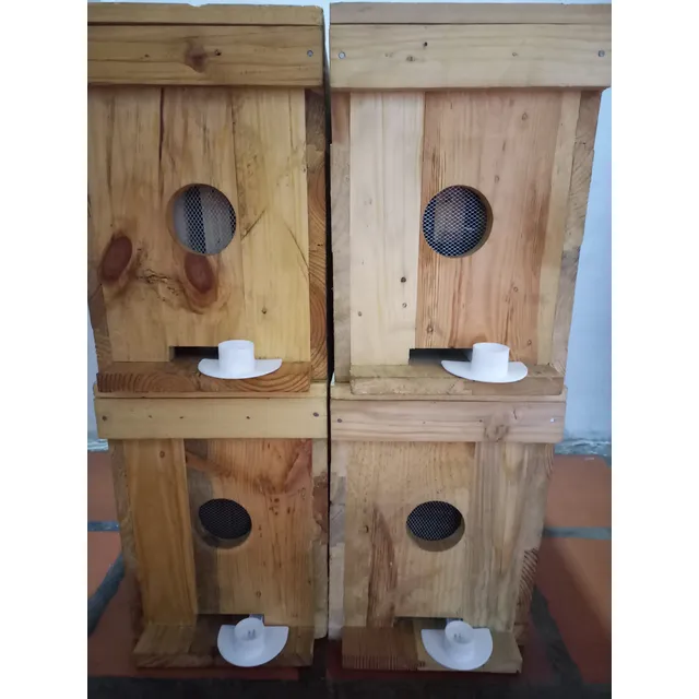 Colmena Porta Nucleo Apicultura Abejas Avispas