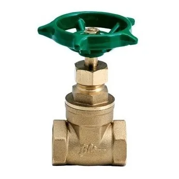 Valvula De Compuerta 1  Marca Bm