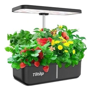 Sistema De Cultivo Hidropónico Inteligente Con 12 Cápsulas Sistema De Cultivo Hidropónico Inteligente Con 12 Cápsulas