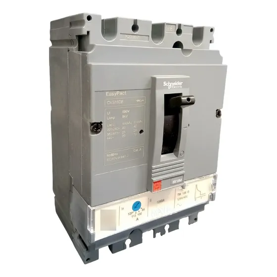 Interruptor Compacto Termica 3x 125a Schneider Lv516302