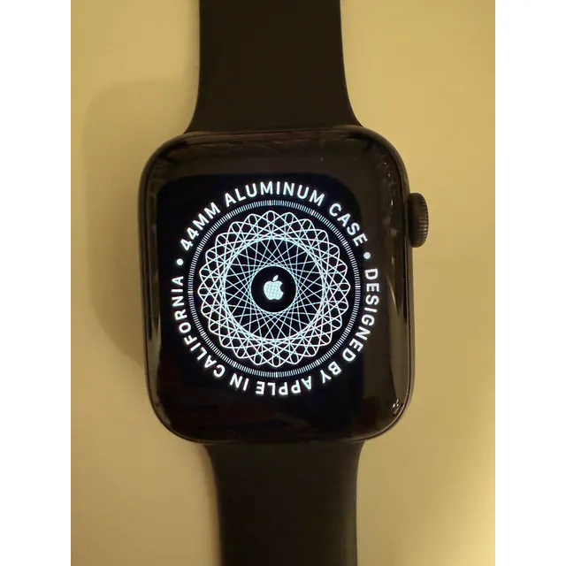 Apple Watch Serie 5 Usado Negro Plastica Negro Negro