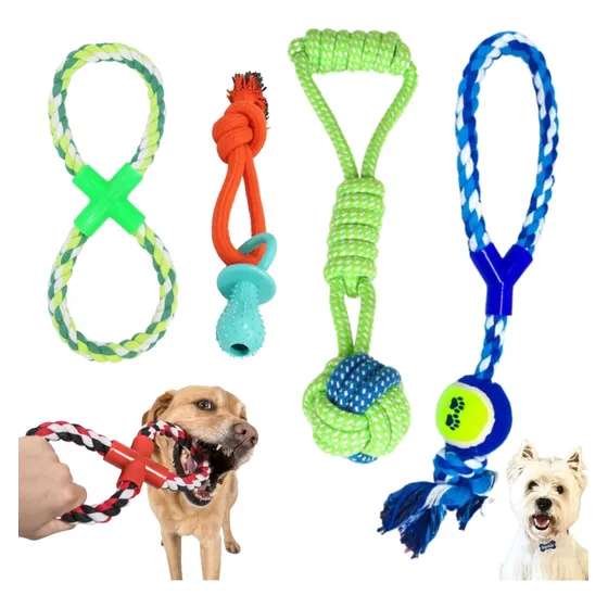 Pet se divertindo com brinquedo interativo