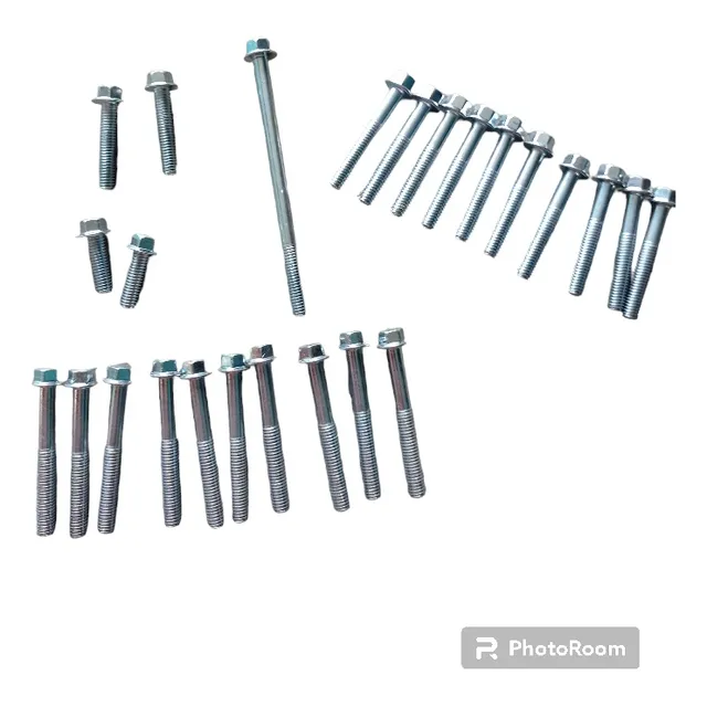 Kit De Tornillos De Motor Para Motocicleta Bera Horse