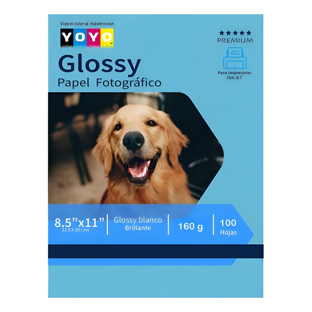 10 Paq De Papel Fotográfico Glossy Carta 160g 200 Hojas Yoyo Blanco