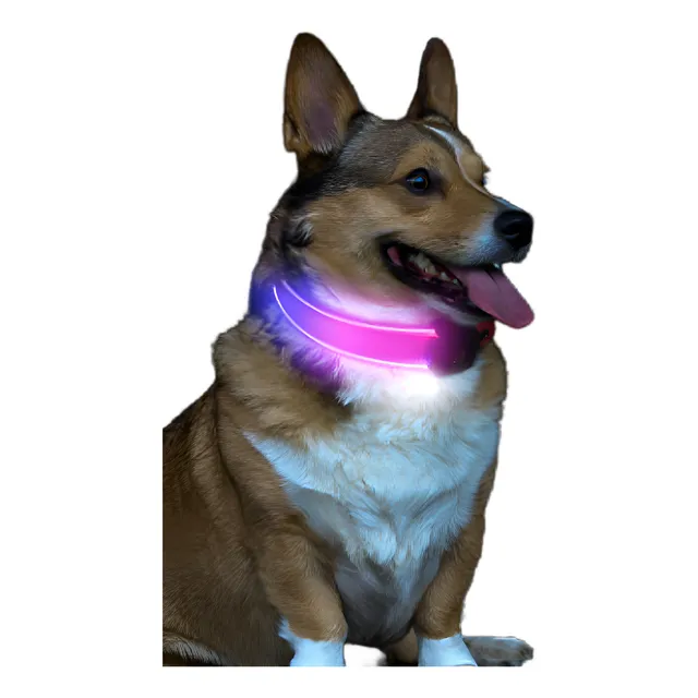 Collar Para Perro Con Luz Led Recargable, Color Negro