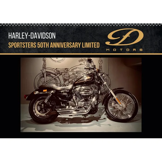 Harley-davidson Sportster 1200 50th Anniversary Df Motors