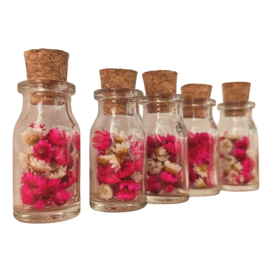 10 Jardim Preservado Lembrancinha Vidro 8ml Flores Secas