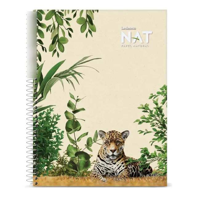 10 Cuadernos Ledesma Nat Rayado Cuadriculado Caña Azucar Uni