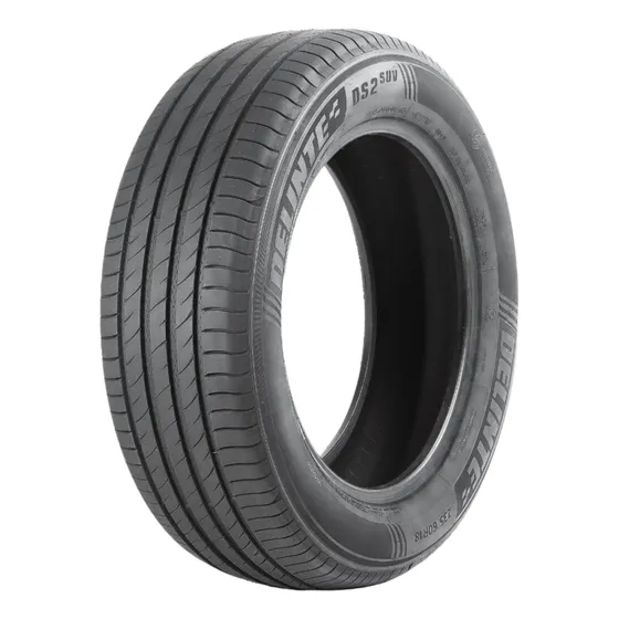 Pneu Delinte 255/45 Zr20 105w Xl Ds2 Suv Aro 20