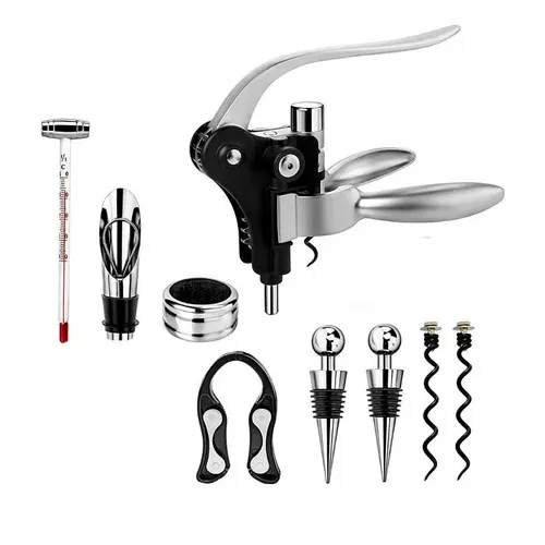 Kit De Vinos Profesional Gadnic Ideal Para 10 Piezas Color Gris