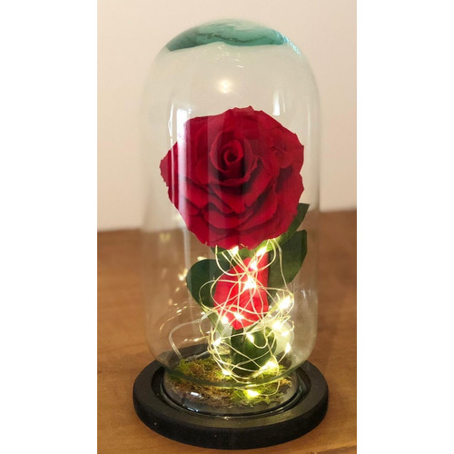 Rosa Eterna Premium ( Color A Elegir ) Con Luz Led  