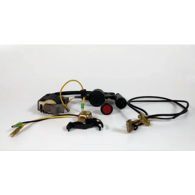 Sistema De Ignicion Kg160gx Para Plantas Electricas 