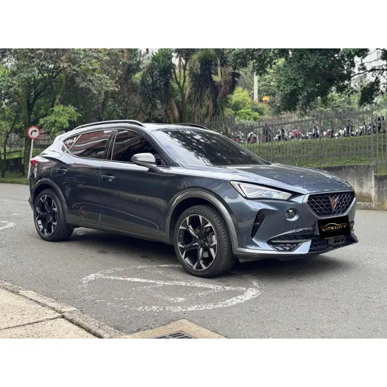 Cupra Formentor 2.0 Tsi Metalizado Dsg