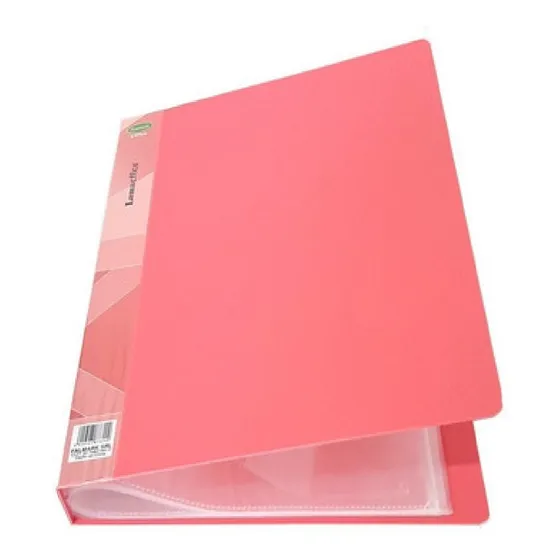 Carpeta A4 Con 10 Folios Separadores Organizador Foliada Color Rosa