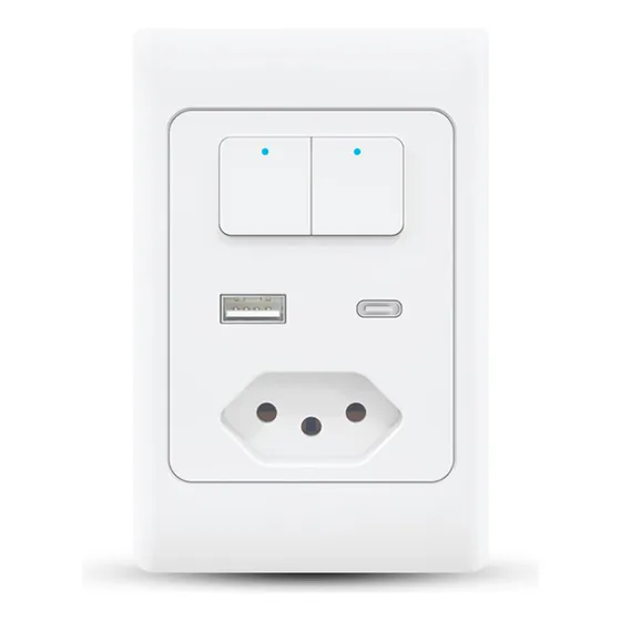 Interruptor Wifi Smart Casa Inteligente Alexa 2 Teclas Usb C