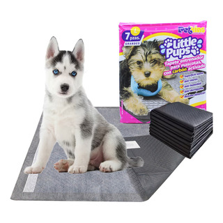 7 Pz Tapete Entrenador Para Perro Pañal Absorbente 60x60cm 7 Pz Tapete Entrenador Para Perro Pañal Absorbente 60x60cm