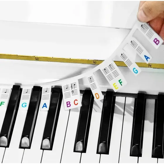 Guía De Notas Para Teclado De Piano Extraíbles