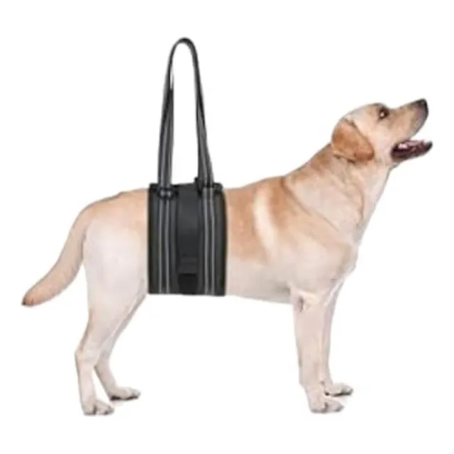 Arnes Premium Para Soporte De Cadera Perros Con Displasia