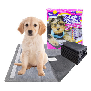 14 Pz Tapete Entrenador Para Perro Pañal Absorbente 60x60cm 14 Pz Tapete Entrenador Para Perro Pañal Absorbente 60x60cm