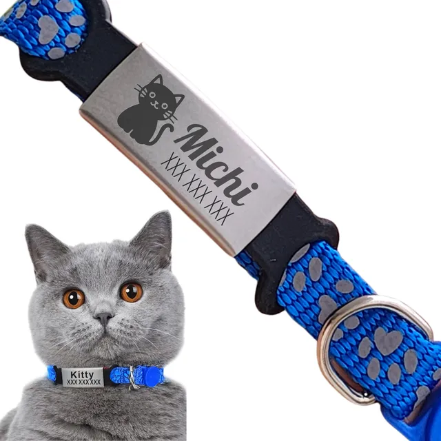 Placa Personalizada Gato Identificación + Collar Antiahogo
