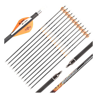 Flechas De Carbono Para Arco Recurvo 100% Carbono Con Puntas Flechas De Carbono Para Arco Recurvo 100% Carbono Con Puntas
