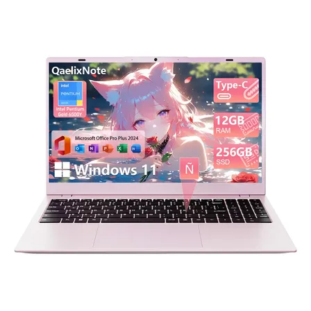 Qaelixnote Laptop Intel Pentium Gold 6500y 12+256gb Win11