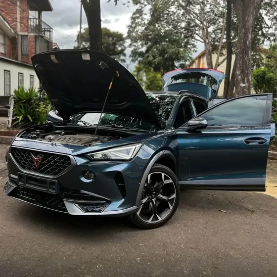 Cupra Formentor 2023 2.0 Tsi Metalizado Dsg