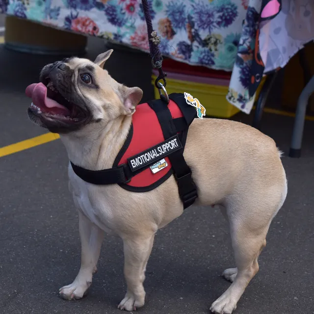 Arnés Para Perro Emotional Support - Talla S
