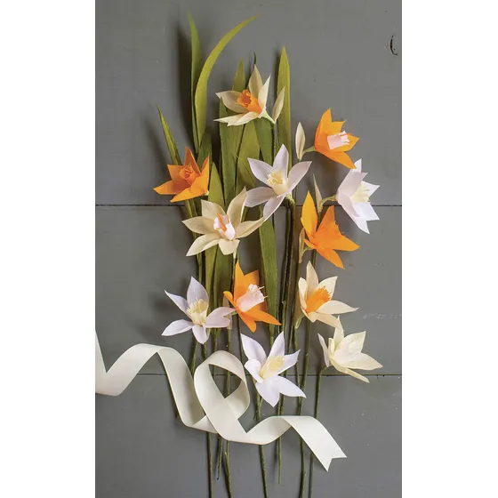 Kit Flor Papel Crepe Calle Creatividad Narciso