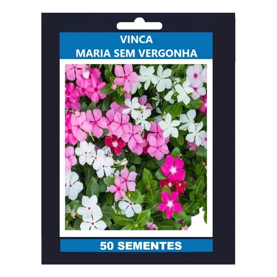 50 Sementes Vinca