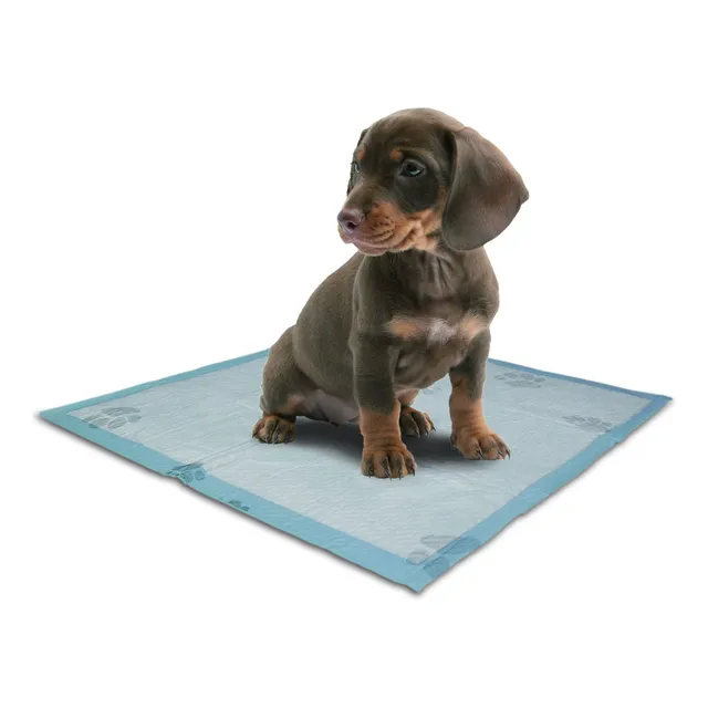 Hally Pets Tapete Entrenador Mascota 60x60 60 Unidades