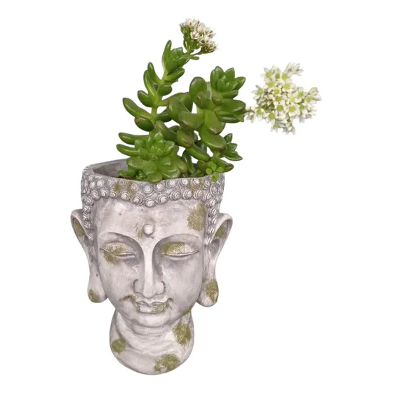 Maceta Macetero Buda Fengshui